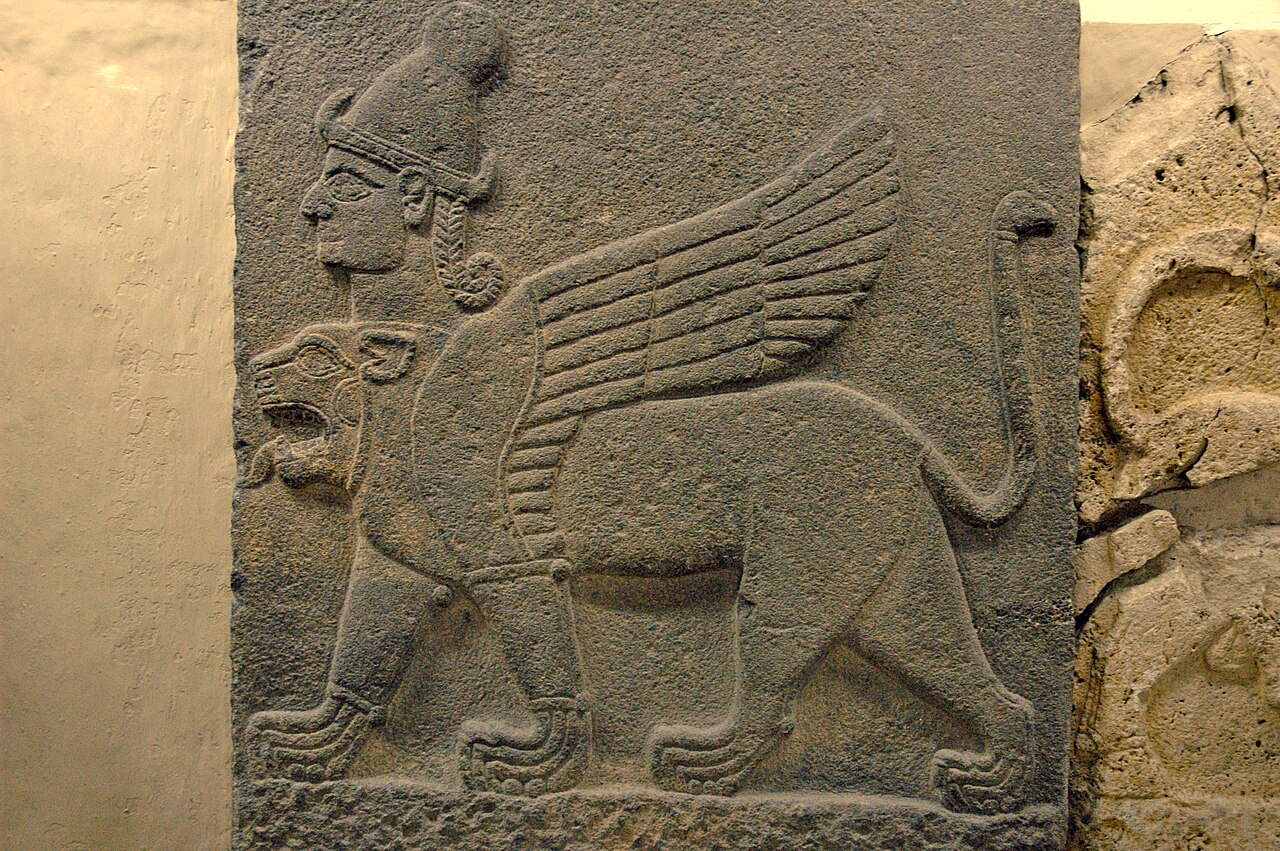 Human chimera