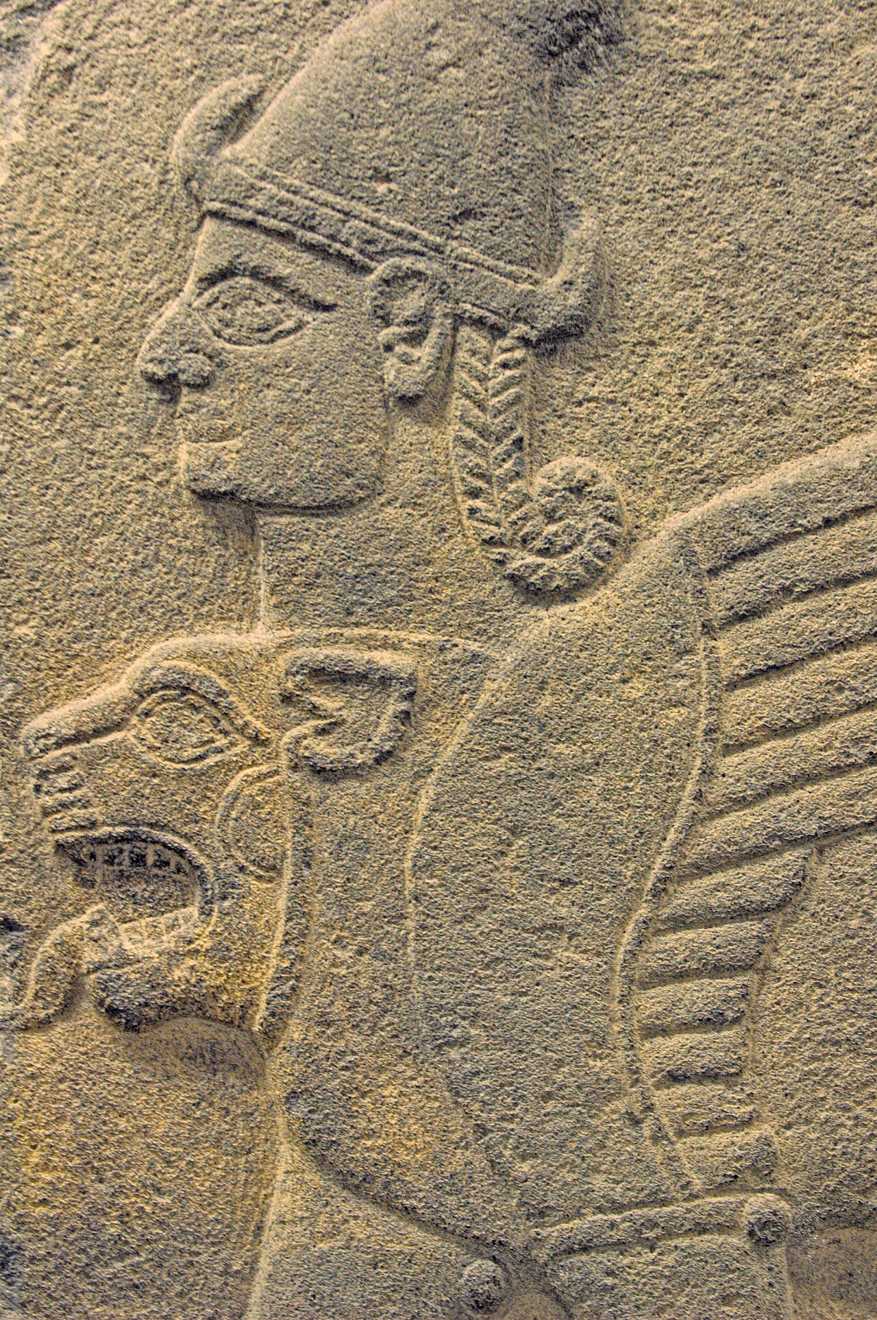 Human chimera