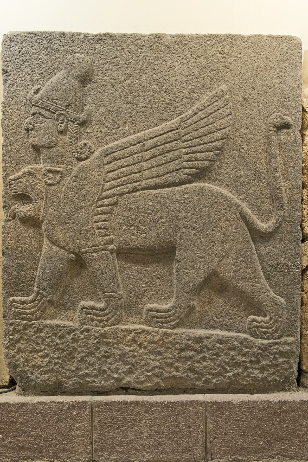 Human chimera